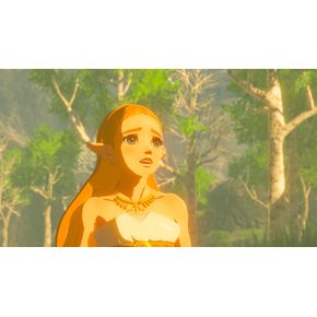 Nintendo Switch Zelda BOW