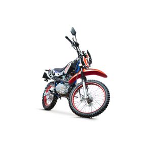 Moto Doble Proposito DM125 Italika 2024 Roja