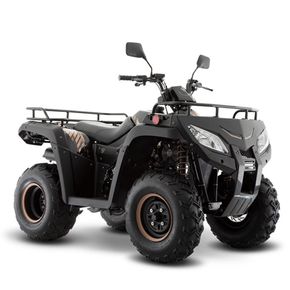 Cuatrimoto ATV 250 Italika 2024