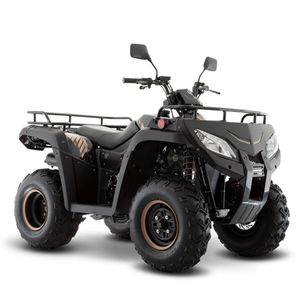 Cuatrimoto ATV 250 Italika 2022
