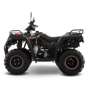 Cuatrimoto ATV 250 Italika 2022