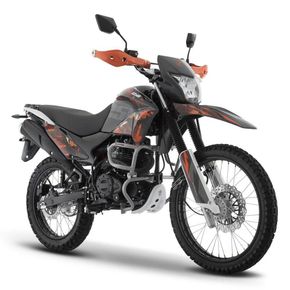 Moto Doble Proposito Italika DM250 Negro/Naranja 2024