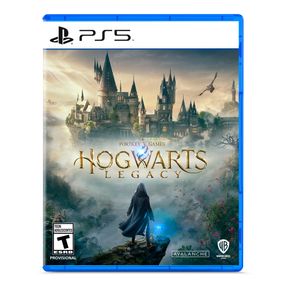 PS5 Hogwarts Legacy