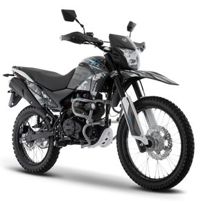 Moto Doble Proposito DM250X 2024