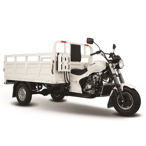 Trimoto Italika Titan 250 2024