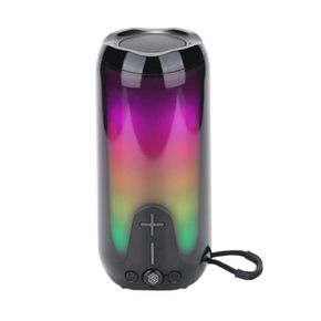 Bocina Portatil Select Sound BT233