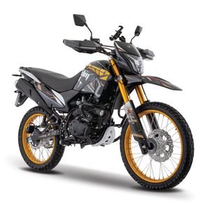 Moto Doble Proposito DM 300 Negra/Dorada