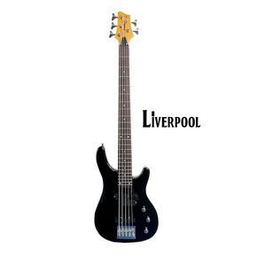 Bajo Electrico Liverpool EBS200-24-5BK