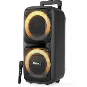 Bocina Bluetooth Dolphin SP-2080RBT