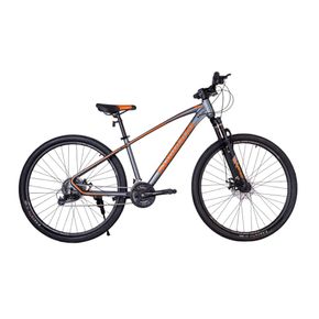 Bicicleta Unlimited Shimano 27PLG Gris