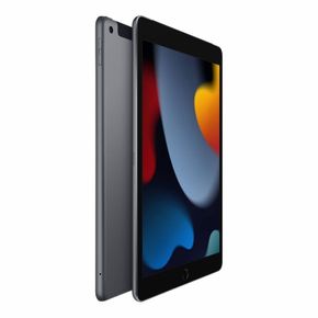 iPad 10.2 Pulgadas 9na Generación 4GB Ram 64GB Rom Space Gray