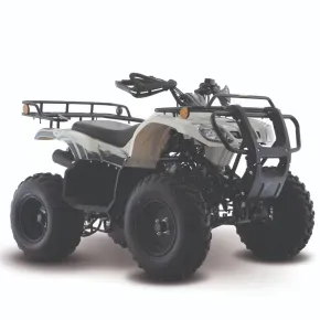 Cuatrimoto ATV 150 Italika Arena